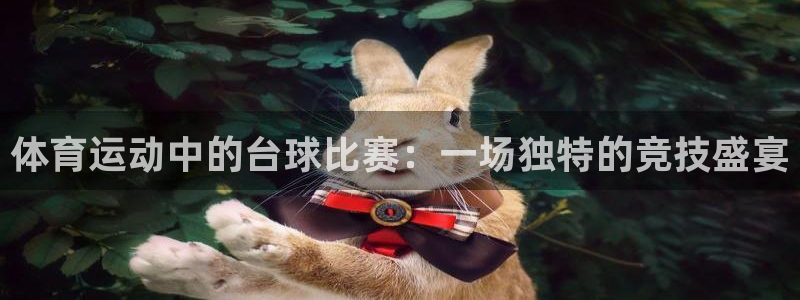 球友会体育官网：体育运动中的台球比赛：一场独特的竞技盛宴