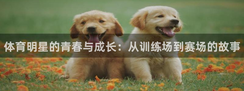 qy球友会体育