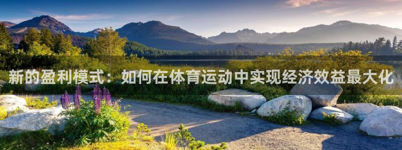 球友会体育最新版下载