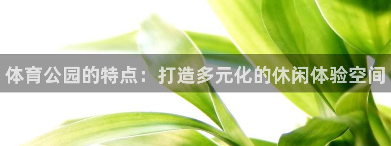 qy球友会体育：体育公园的特点：打造多元化的休闲体验空间
