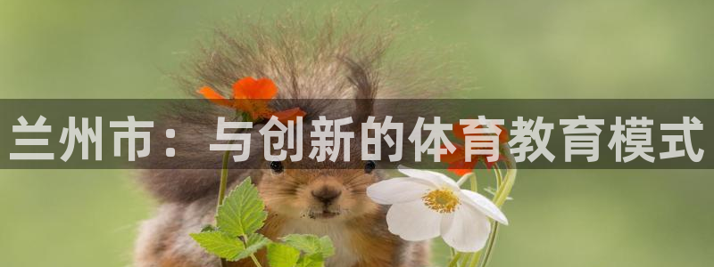 qy球友会体育网址