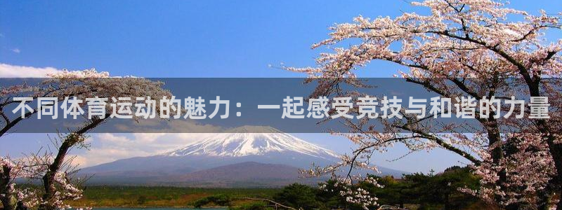 球友会体育官网