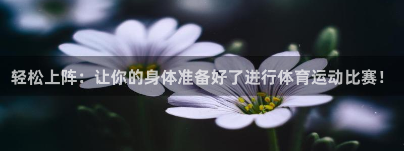 球友会体育
