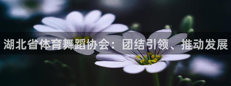 球友会体育直播